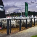 Feira reúne exposição de animais - Foto: Reprodução/ Mairinco Celso de Pauda