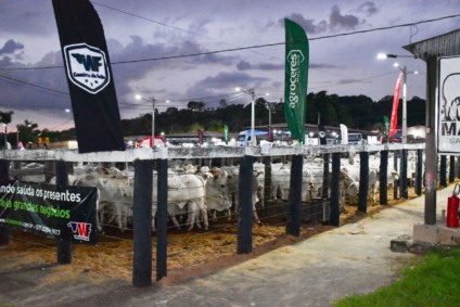 Feira reúne exposição de animais - Foto: Reprodução/ Mairinco Celso de Pauda