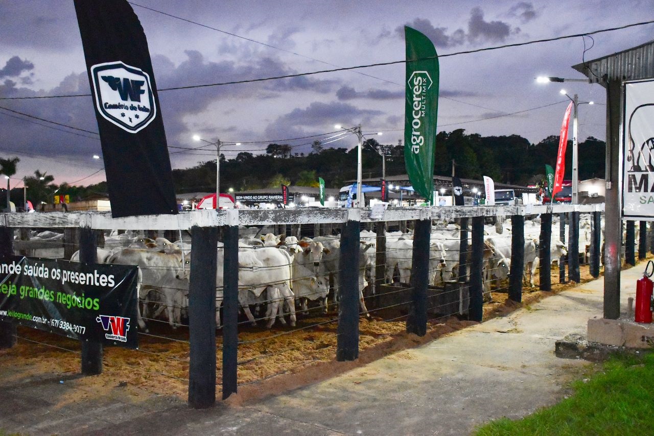 Feira reúne exposição de animais - Foto: Reprodução/ Mairinco Celso de Pauda