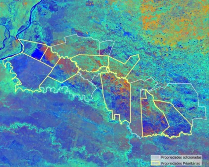 Nova lei e satélites ajudam a conter avanço do desmatamento no Pantanal