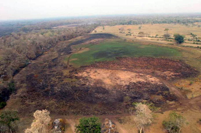 Incêndio que destruiu 6 mil ha no Pantanal