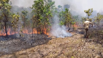 Estiagem e calor intensificam risco de incêndios e Corpo de Bombeiros está em alerta