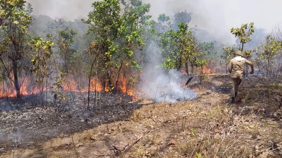 Bombeiros reforçam ações de prevenção e combate aos incêndios - Foto: Arquivo/Divulgação 
