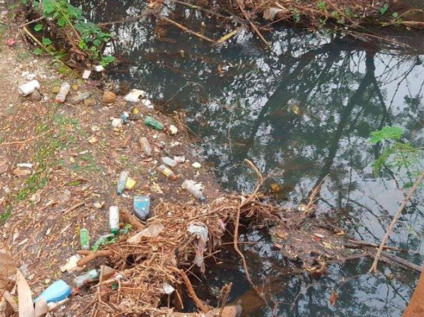 Córrego Lagoa em área de proteção ambiental em Campo Grande Córrego Lagoa em área de proteção ambiental em Campo Grande
