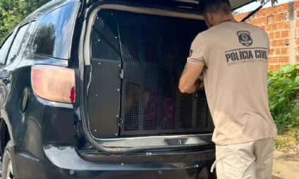 Homem é preso por divulgar pornografia infantil na internet em Corumbá