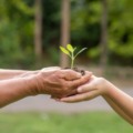 A premiação reconhece práticas de sustentabilidade do meio ambiente realizadas por profissionais, estudantes e instituições - Foto: Freepik