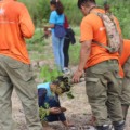 Debates incluem desenvolvimento sustentável, agroindústria e novas oportunidades de negócios com baixo impacto ambiental - Foto: Divulgação/IHP