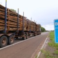 Trecho da BR-262 que faz parte da Rota da Celulose - Foto: Reprodução/Governo de MS
