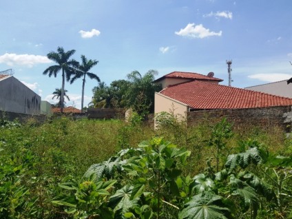 Moradores de Três Lagoas podem pedir cancelamento de multas por limpeza de terrenos até 23 de maio