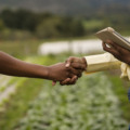 Holding rural é uma empresa criada para administrar os bens do produtor, organizar a tributação e facilitar processos sucessórios - Foto: Reprodução/Freepik