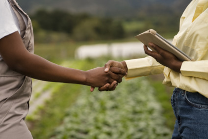 Holding rural é uma empresa criada para administrar os bens do produtor, organizar a tributação e facilitar processos sucessórios - Foto: Reprodução/Freepik