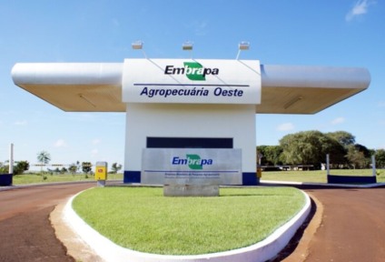 Embrapa completa 50 anos em Dourados / Foto: Divulgação