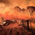 Dados apontam Pantanal como o bioma proporcionalmente mais afetado por queimadas no Brasil nos últimos anos - Foto: CPA-CBMMS/ Mairinco de Pauda