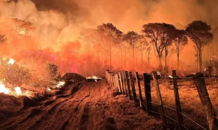 Dados apontam Pantanal como o bioma proporcionalmente mais afetado por queimadas no Brasil nos últimos anos - Foto: CPA-CBMMS/ Mairinco de Pauda
