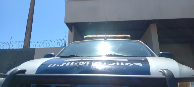 Homem tenta vender jabuti furtado por R$ 30 para comprar droga