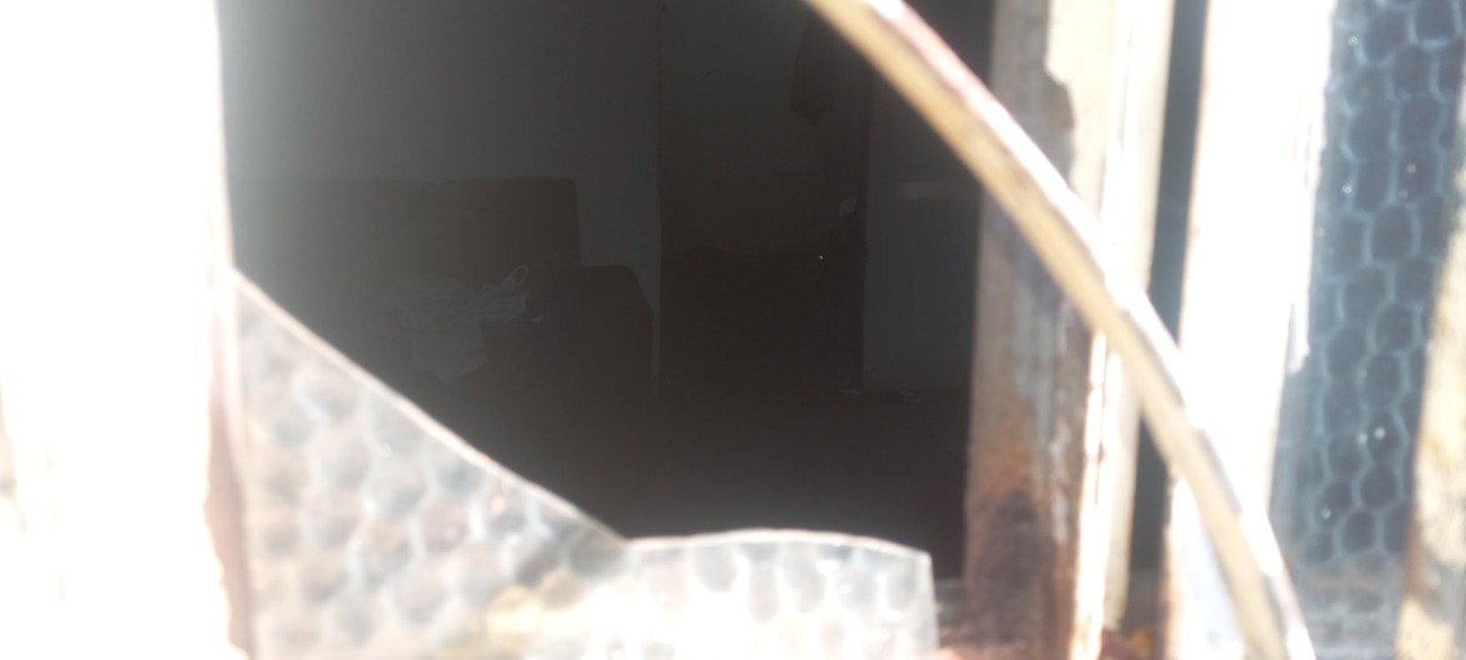 Corpo de homem é encontrado em residência na Vila Zuque: Alfredo Neto/RCN 67 Corpo de homem é encontrado em residência na Vila Zuque: Alfredo Neto/RCN 67