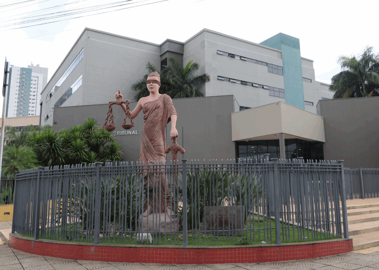 Consulta pública segue até o fim de junho  - Foto: Reprodução/TJMS
