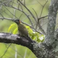 A expectativa é que a COP15 atraia entre 4 mil e 5 mil pessoas à Capital. - Foto: Agência Brasil