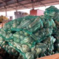 Preço da caixa de 20kg de abobrinha caiu 8,33% - Foto: Reprodução/ Ceasa-MS