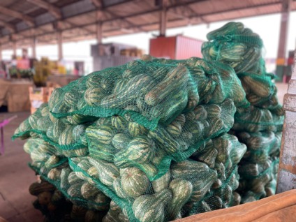 Preço da caixa de 20kg de abobrinha caiu 8,33% - Foto: Reprodução/ Ceasa-MS