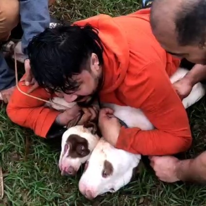 Ernesto segurou os animais até a chegada do socorro Foto: Reprodução/ Arquivo Pessoal