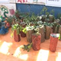 Escola municipal desenvolve projeto de meio ambiente com alunos