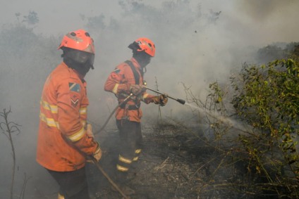 Equipes do Corpo de Bombeiros de MS tentando controlar incêndio em Corumbá - Foto: Reprodução/Governo de MS