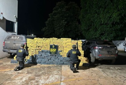 A droga foi avaliada em aproximadamente R$ 3,3 milhões. (Foto: Divulgação DOF)