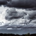 Há risco de queda de árvores, galhos e corte de energia nos municípios sob alerta - Foto: Arquivo RCN67