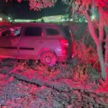 Motorista fica ferido após desviar de animal e colidir carro contra árvore na BR-158