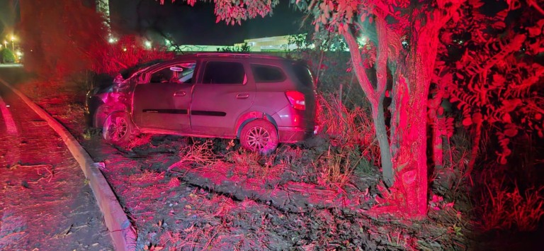 Motorista fica ferido após desviar de animal e colidir carro contra árvore na BR-158