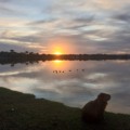 Chuva marca início da semana em Três Lagoas e temperaturas devem despencar