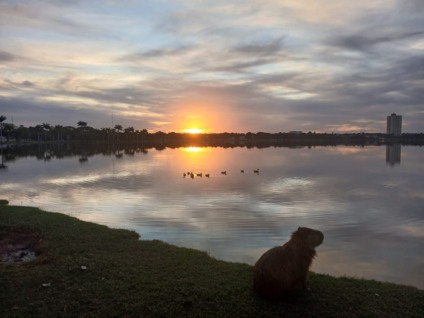 Chuva marca início da semana em Três Lagoas e temperaturas devem despencar