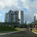 O Vale da Celulose impulsionou a economia sul-mato-grossense - Foto: Reprodução Agência de Notícias MS