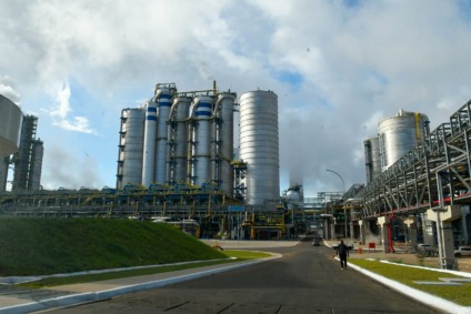 O Vale da Celulose impulsionou a economia sul-mato-grossense - Foto: Reprodução Agência de Notícias MS