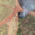 Incêndios são uma forma de dano ambiental - Foto: Reprodução/ Imasul