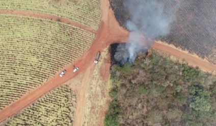 Incêndios são uma forma de dano ambiental - Foto: Reprodução/ Imasul