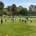 Aproximadamente 200 alunos participarão da etapa do festival paralímpico em Dourados neste sábado. (Foto: Divulgação/Assecom)