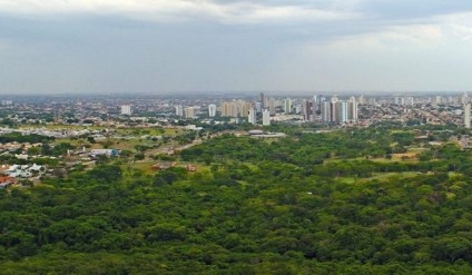 Projeto Arbolink automatiza manejo da arborização urbana - Foto: Reprodução/Governo de MS