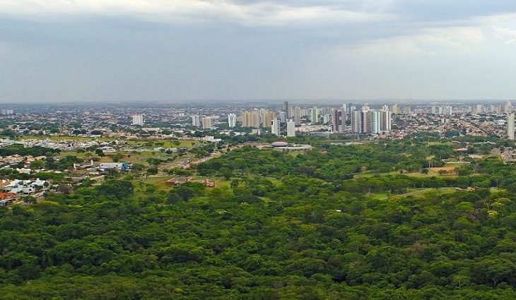 Projeto Arbolink automatiza manejo da arborização urbana - Foto: Reprodução/Governo de MS