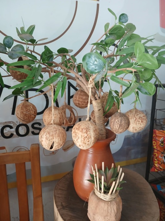Casal transforma cocos descartados em peças de decoração à beira da Lagoa Maior
