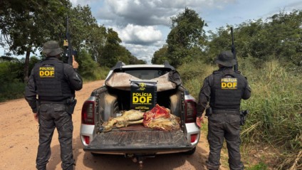 Grupo transportava carne de animal abatido em veículo - Foto: Divulgação/DOF