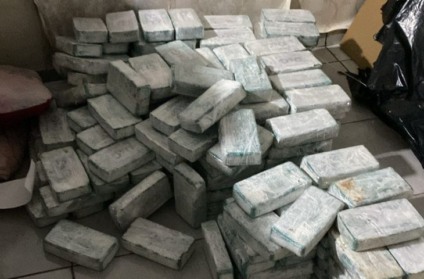 A quantidade de droga foi avaliada em mais de R$ 25 milhões- Foto: Sejusp