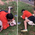 Mesmo ferido, Ernesto conseguiu imobilizar os animais./  Imagens: Arquivo Pessoal/Reprodução