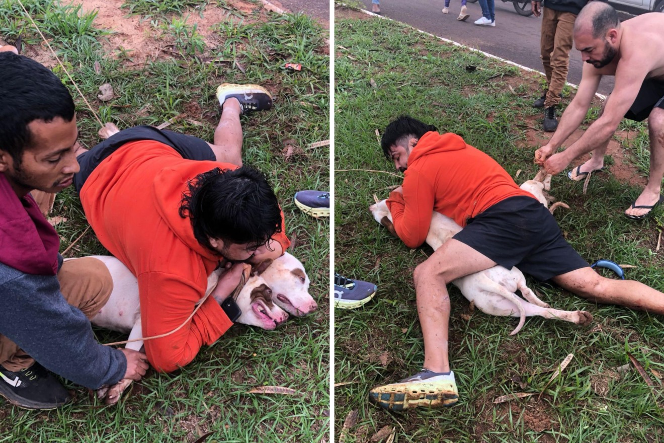 Mesmo ferido, Ernesto conseguiu imobilizar os animais./  Imagens: Arquivo Pessoal/Reprodução