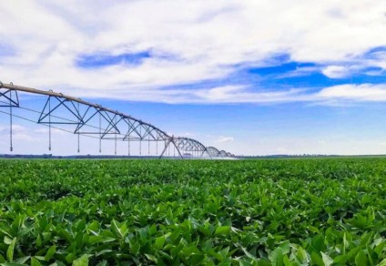 Sistema pivô central é utilizado em 902 propriedades - Foto: Reprodução/ Aprosoja-MS