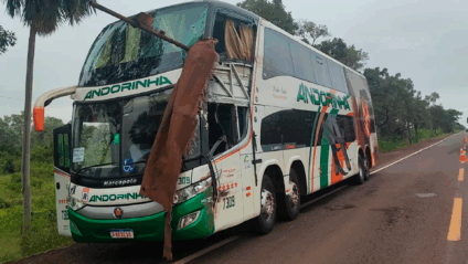 Acidente grave entre ônibus e caminhão na BR-262 próximo ao Buraco das Piranhas