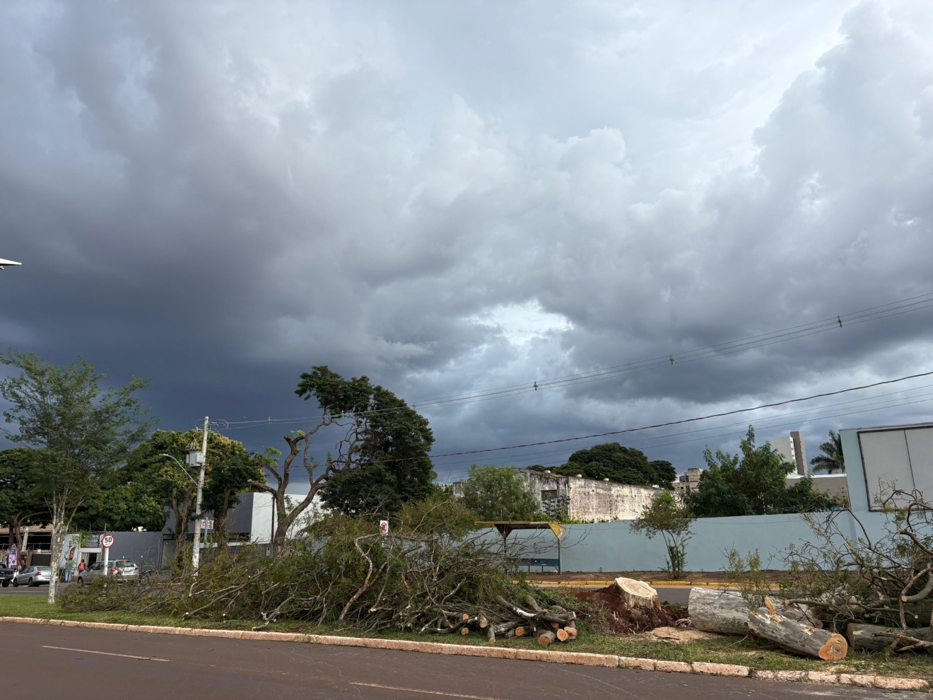 A Defesa Civil de Dourados está nas ruas da cidade e retirou da avenida a árvore caída. (Foto: Léo Júnior)