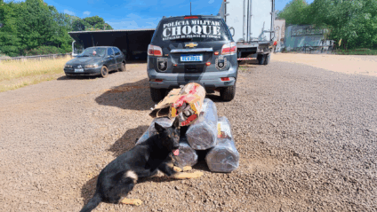 Carga de maconha apreendida em transportadora de Campo Grande Carga de maconha apreendida em transportadora de Campo Grande