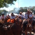 Cavaleiros conduzem suas montarias durante a 34ª Cavalgada Municipal de Paranaíba, que bateu recorde de participação neste  domingo(29)  (Foto Luciano  Oliveira)